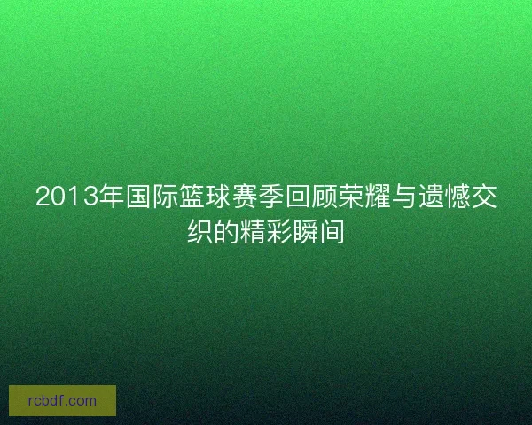 2013年国际篮球赛季回顾荣耀与遗憾交织的精彩瞬间