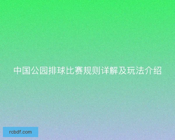 中国公园排球比赛规则详解及玩法介绍